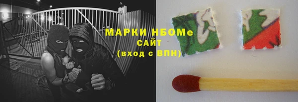 сатива Коряжма