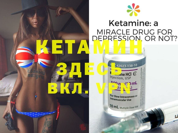 сатива Коряжма
