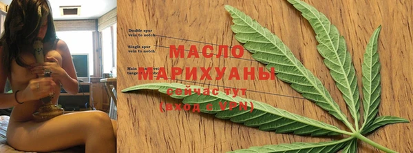 сатива Коряжма