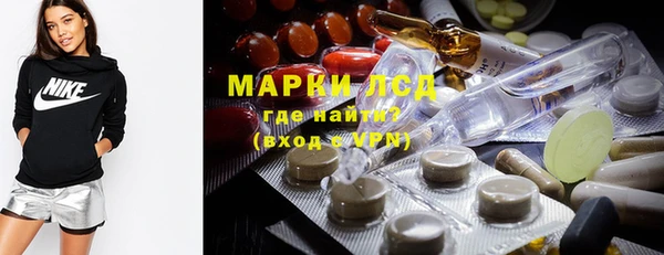сатива Коряжма