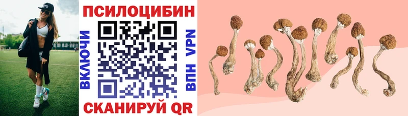 Купить где  Енисейск  Галлюциногенные грибы Magic Shrooms 